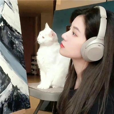 青囊传