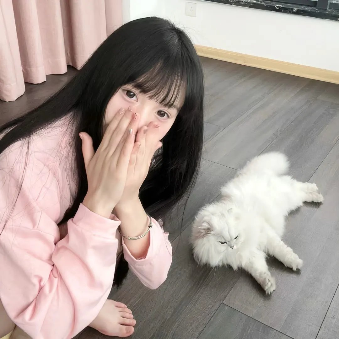 山狗